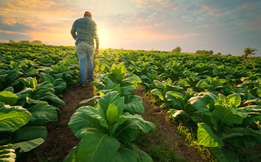 Farming